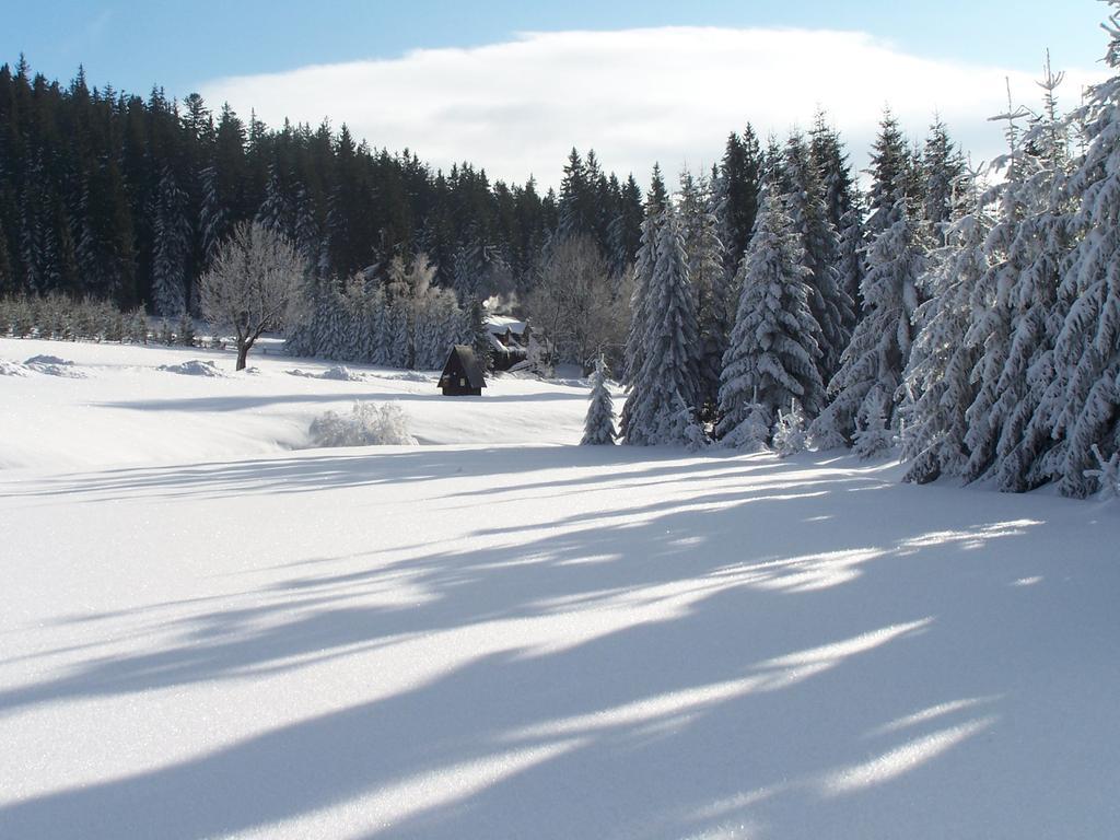 Chata Pod Koberstejnem Rejvíz Esterno foto